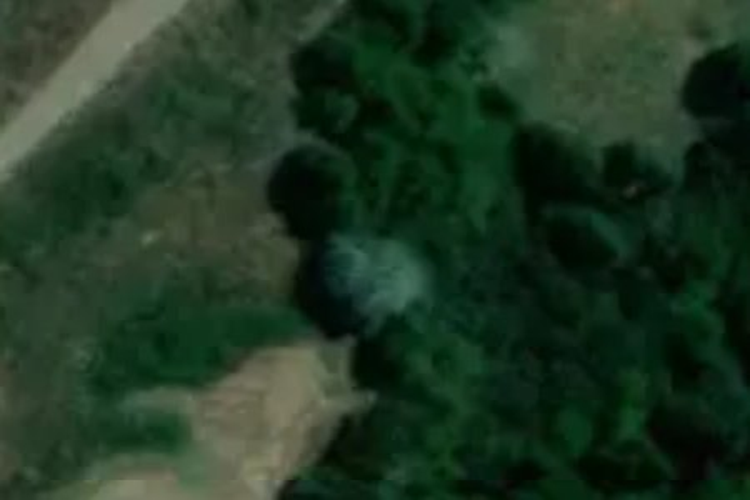 Paparoa-Oakleigh Road_0