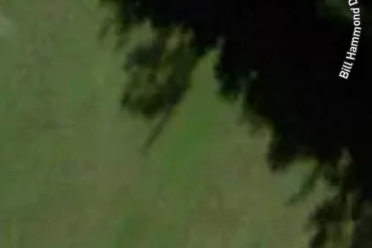 49a Bill Hammond Drive_0