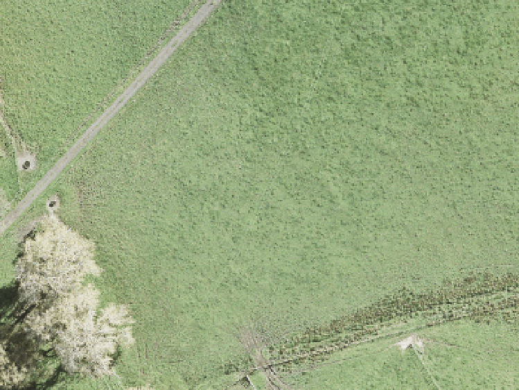 5 Parkland Loop_0