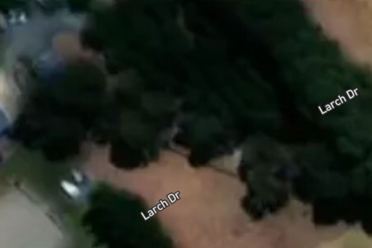 16 Larch Drive_0