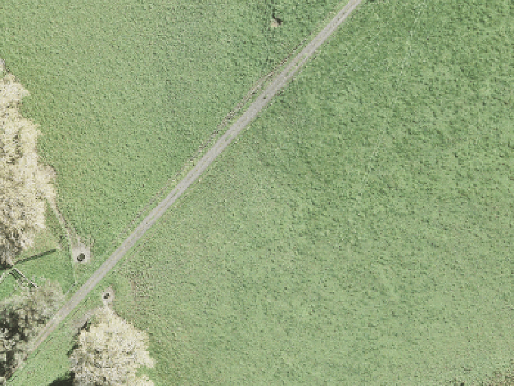 9 Parkland Loop_0