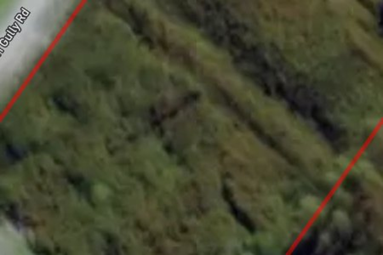 Maori Gully Road_0