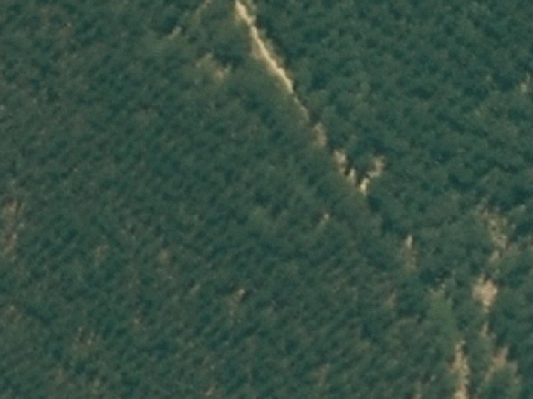 16 Te Ara O Kiri Patuparaoa Anake_0