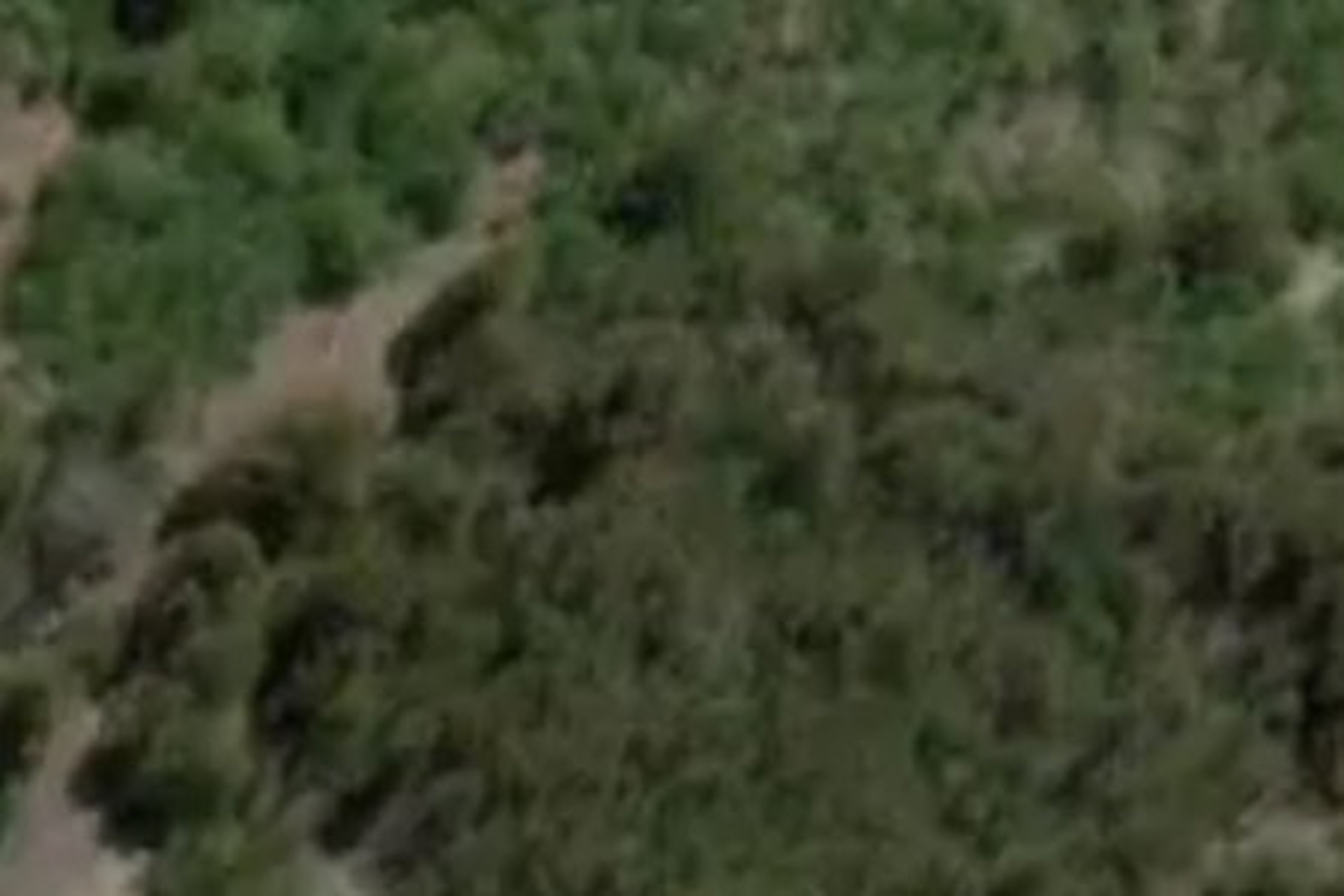 1066 Wharfedale Road Oxford Waimakariri Houses for Sale One Roof