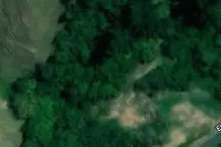 301 Ellicott Road_0