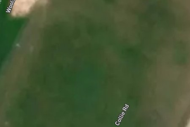 12 Collie Road_0