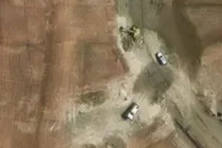 2 Branch Burn Close_0