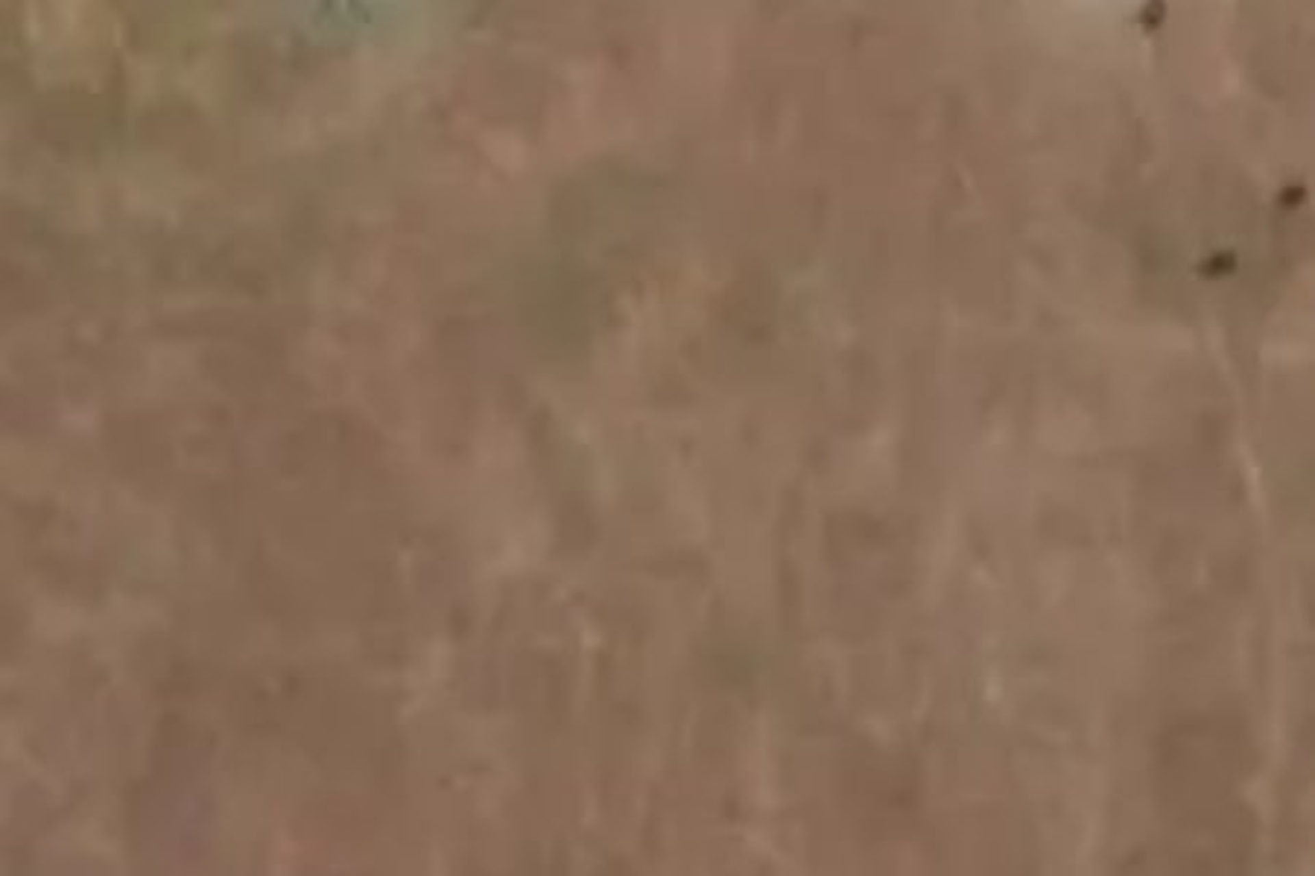 Glenfoyle Road Luggate Wanaka Houses for Sale One Roof