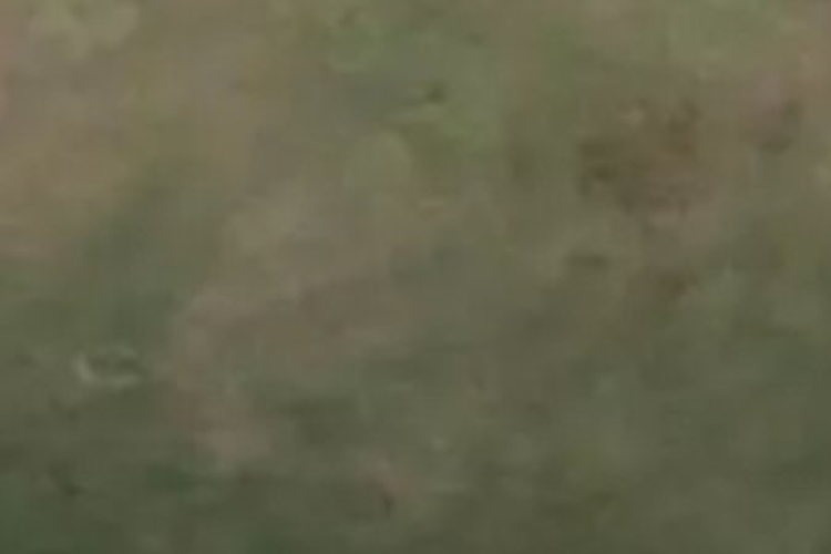 28 Annie Aranui Drive_0