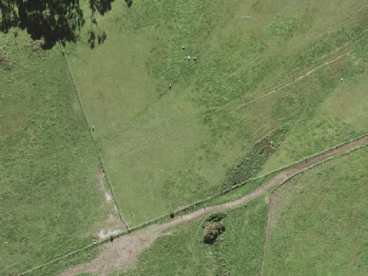 202 Henwood Road_0