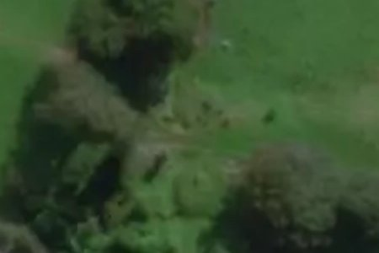 1447 Owaka Valley Road_0