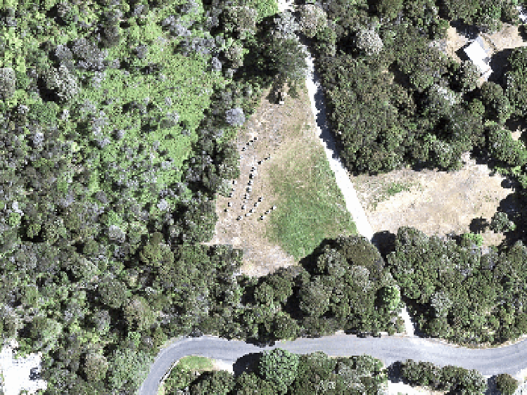 250 Blind Bay Road_0