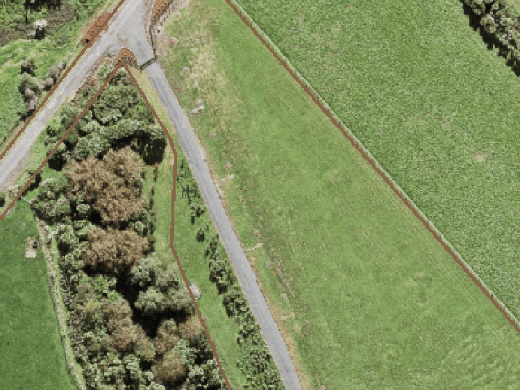 1015 State Highway 16_0