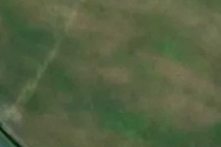 63 Panama Crescent_0