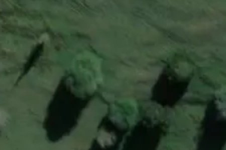 Paranui-Toatoa Road_0