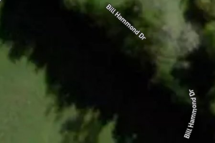 61 Bill Hammond Drive_0