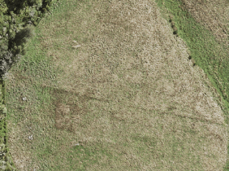 37 Mcindoe Road_0