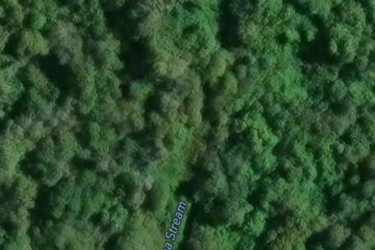 1266 Churchill Road_0