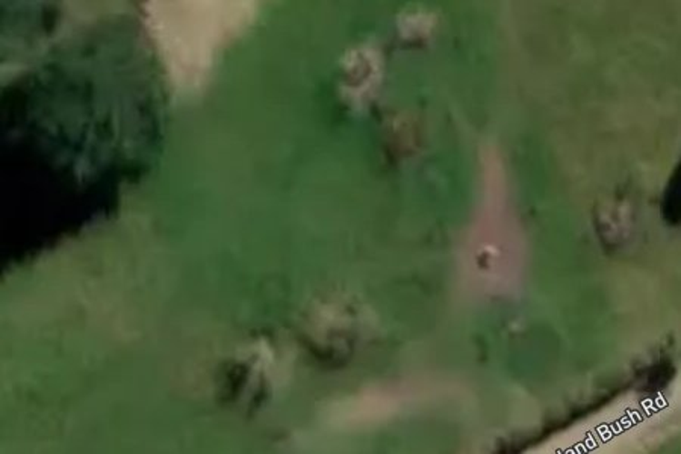 196 Green Island Bush Road_0