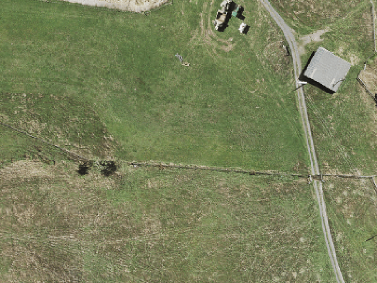 343 Flat Bush School Road_0