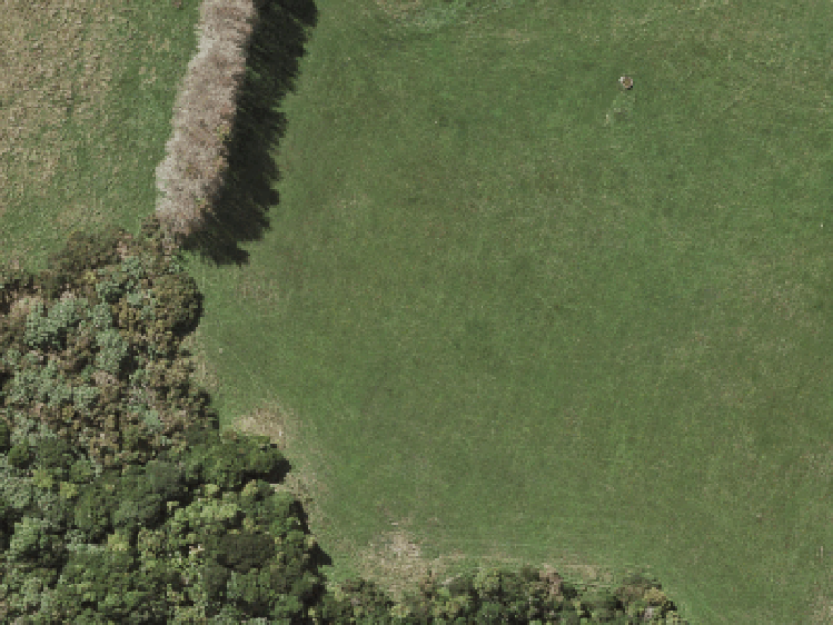 140 Mcquoids Road_0