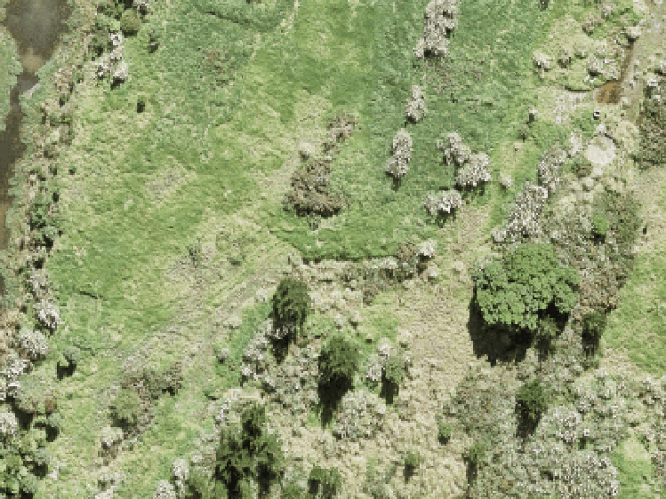19 Whakairo Crescent_0