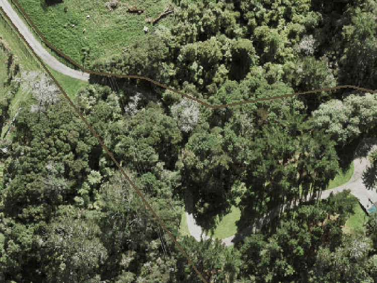 559 Ridge Road_0