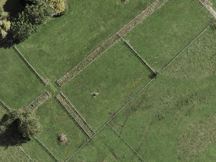 35 Star Cross Road_0