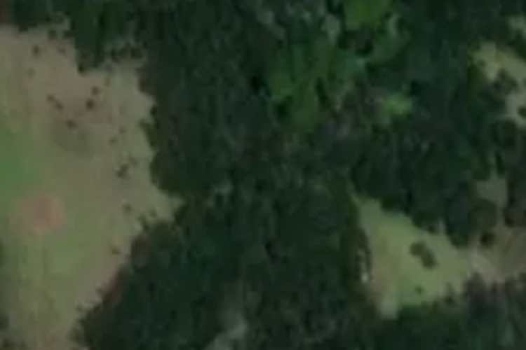 161c Clements Road_0