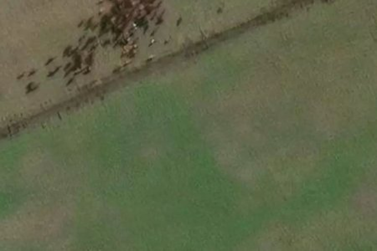 202 Arrowville Road_0