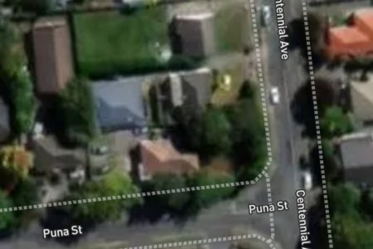 1/2a Puna Street_0
