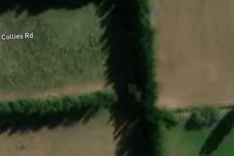 29 Collies Road_0