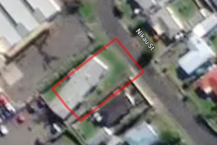 195 Nikau Street_0