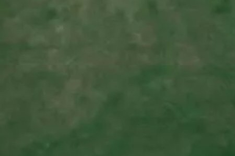 906ab Bidwills Cutting Road_0