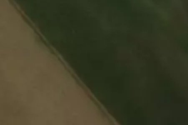 Farm Road_0