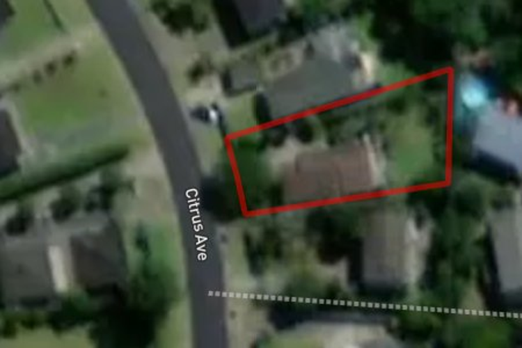 29 Citrus Avenue_0