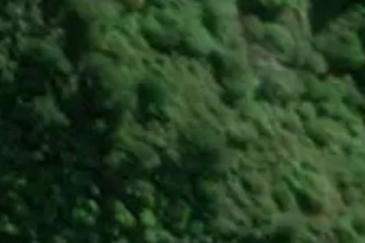 Takaka Hill Highway_0