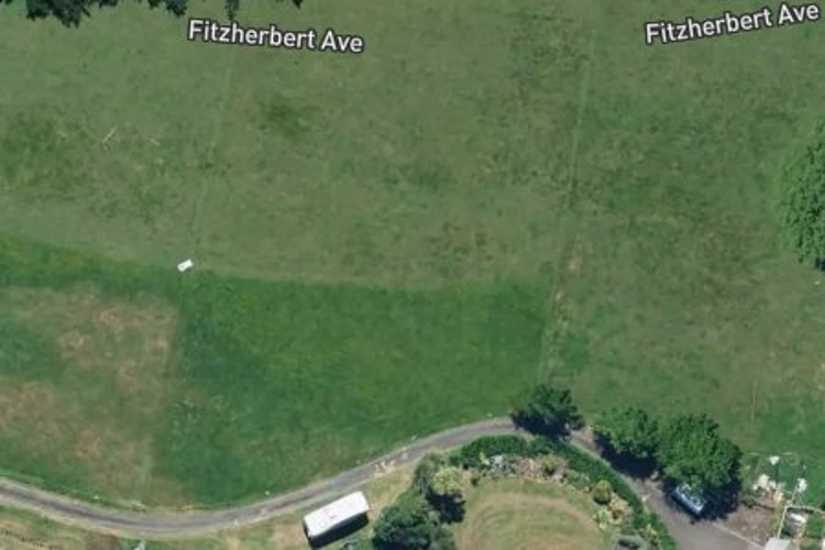 Fitzherbert Avenue_0
