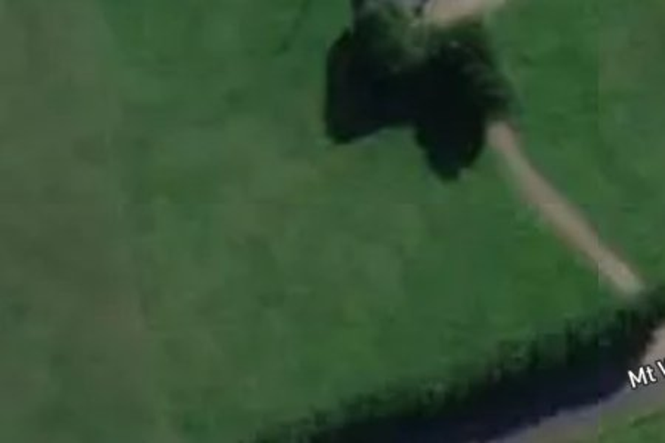 222 Mount Wesley Coast Road_0