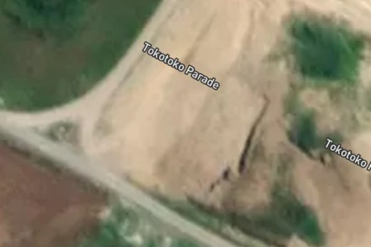 24a Tokotoko Parade_0