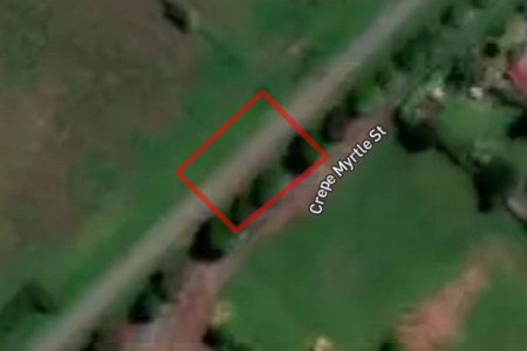 21 Crepe Myrtle Street_0