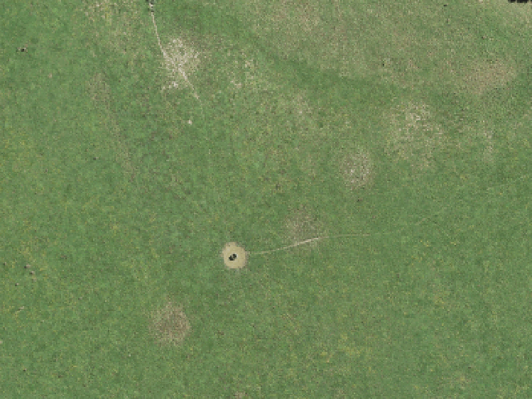 55 Shepherds Bush Road_0