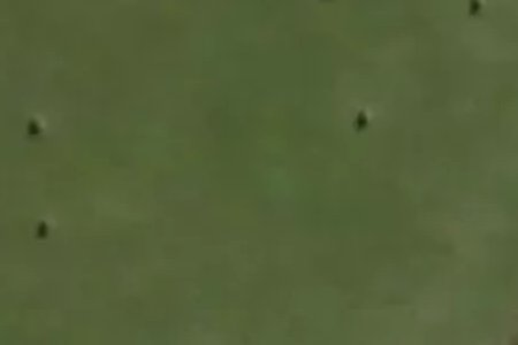 6 Friedeburg Place_0