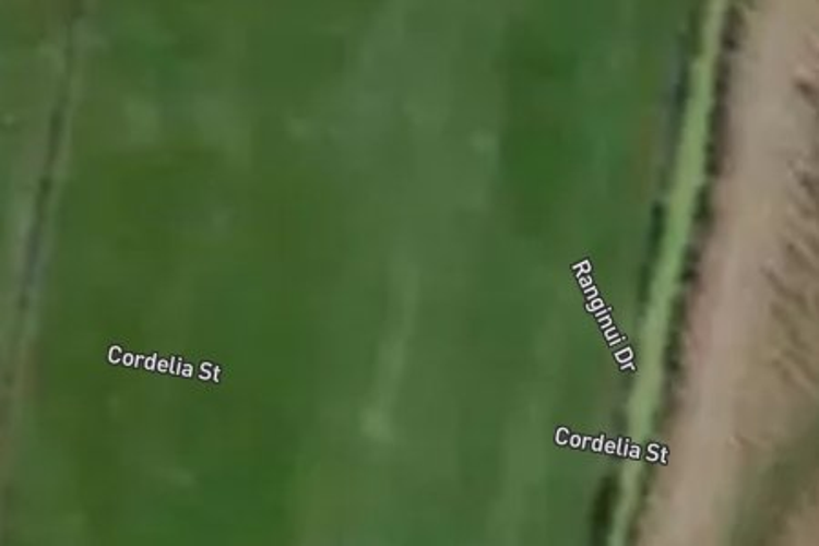 2 Cordelia Street_0