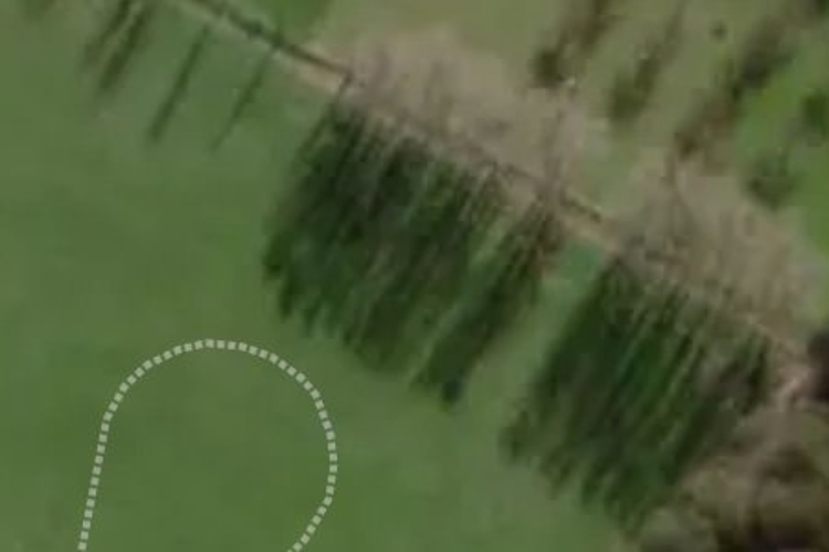 30 Phoenix Palms Grove_0