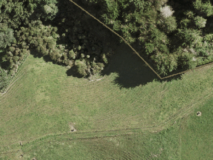 52 Gordon Francis Drive_0