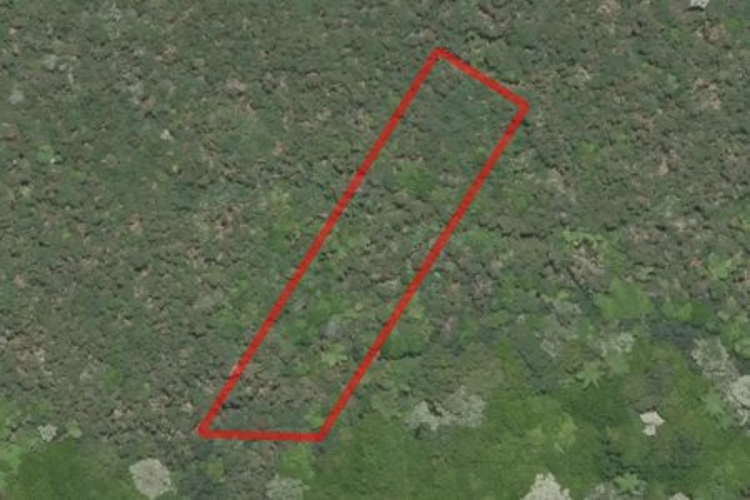 4 Ramarama Lane_0