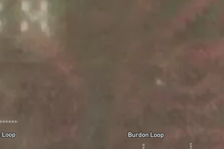 Burden Loop_0