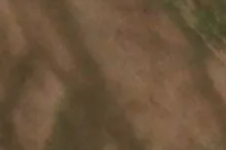 10 Peek Lane_0