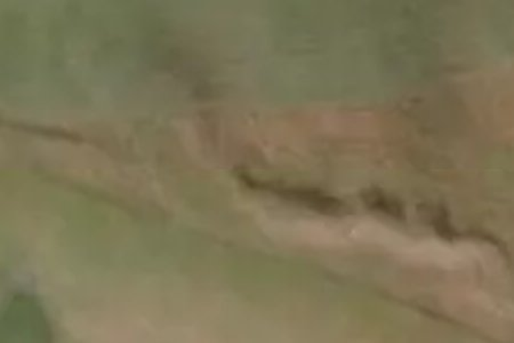 1499 Bothwell Street_0